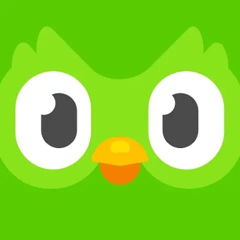 Duolingo للاندرويد